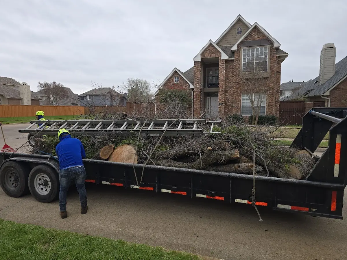 Expert Lot Clearing with proper safety equipment in Larkspur